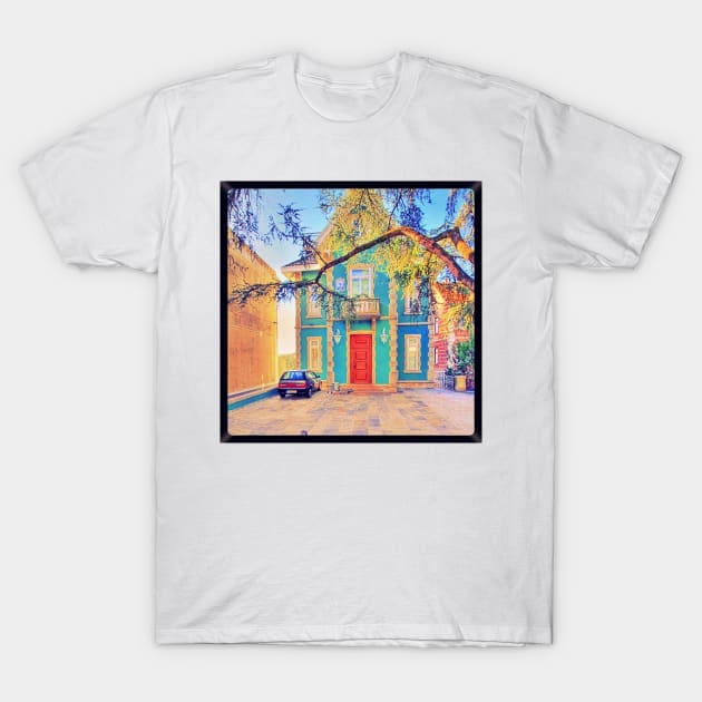 chalet. sintra T-Shirt by terezadelpilar